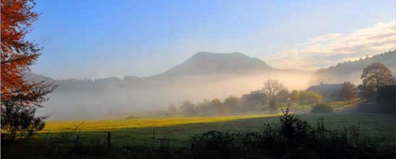 Paysage